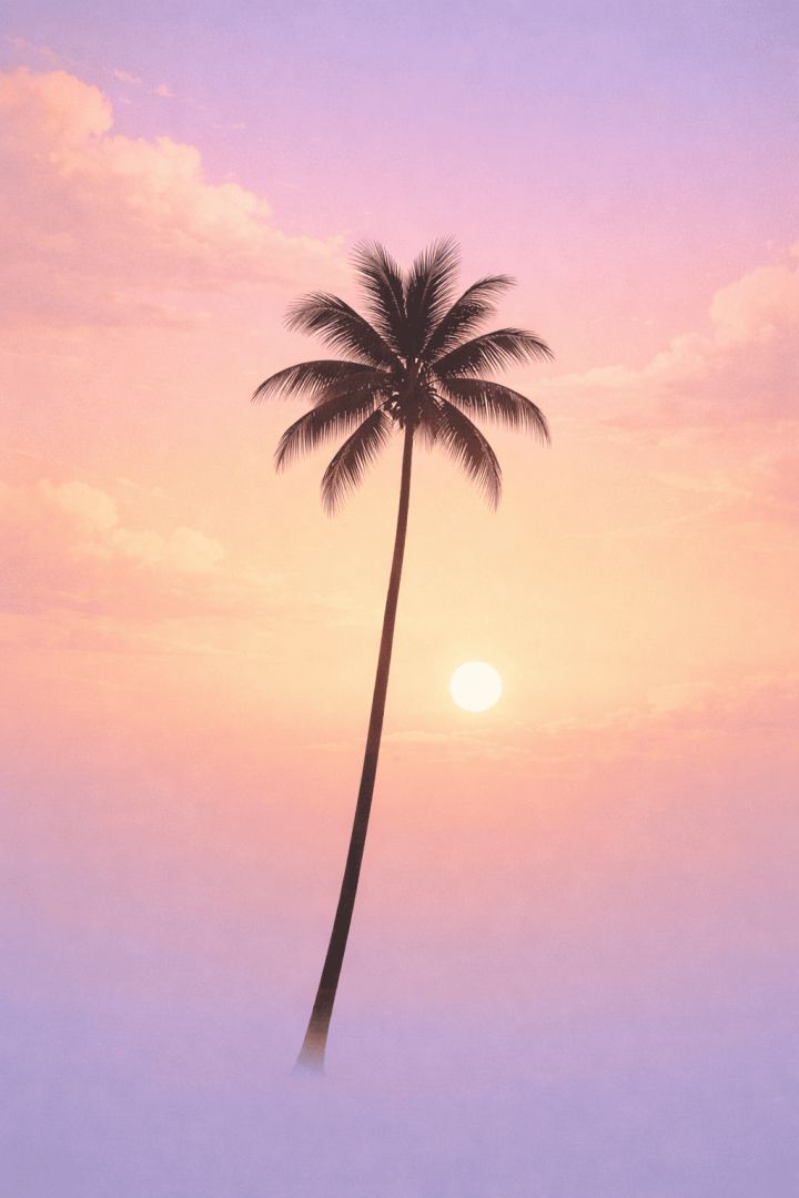 Tropical sunset with palm silhouette minimalist wallpaper